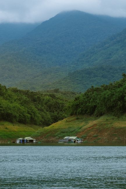 Serene landscape of Bao Loc's lush greenery and tranquil lakeside in Vietnam's Lam Dong province.
