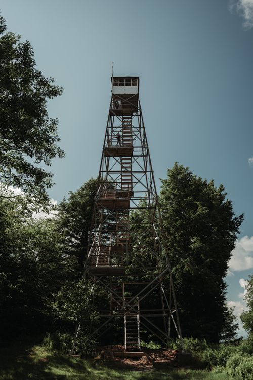 Free A vertical shot of a rustic observation tower surrounded by dense forest under a clear sky. Stock Photo