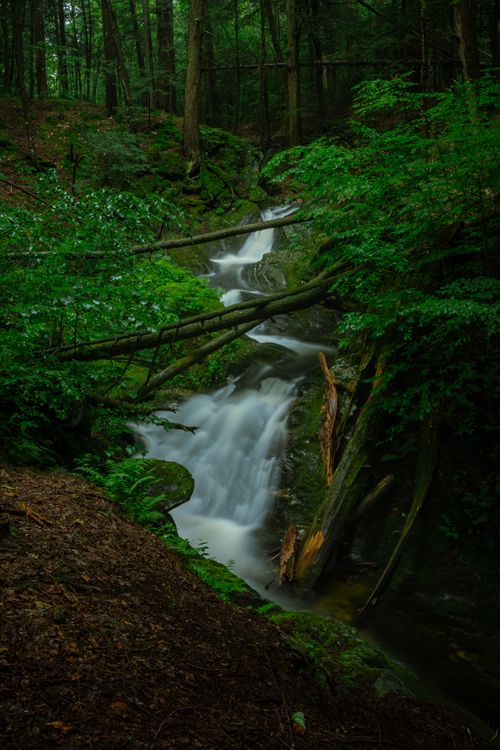 Free A tranquil waterfall flowing through a dense forest, surrounded by lush green foliage creating a peaceful atmosphere. Stock Photo