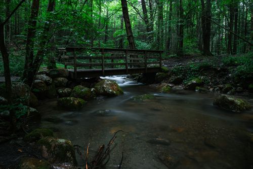 Free A tranquil scene of a wooden footbridge crossing a stream in a lush green forest. Stock Photo