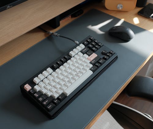 Black and White Computer Keyboard and a Mouse 