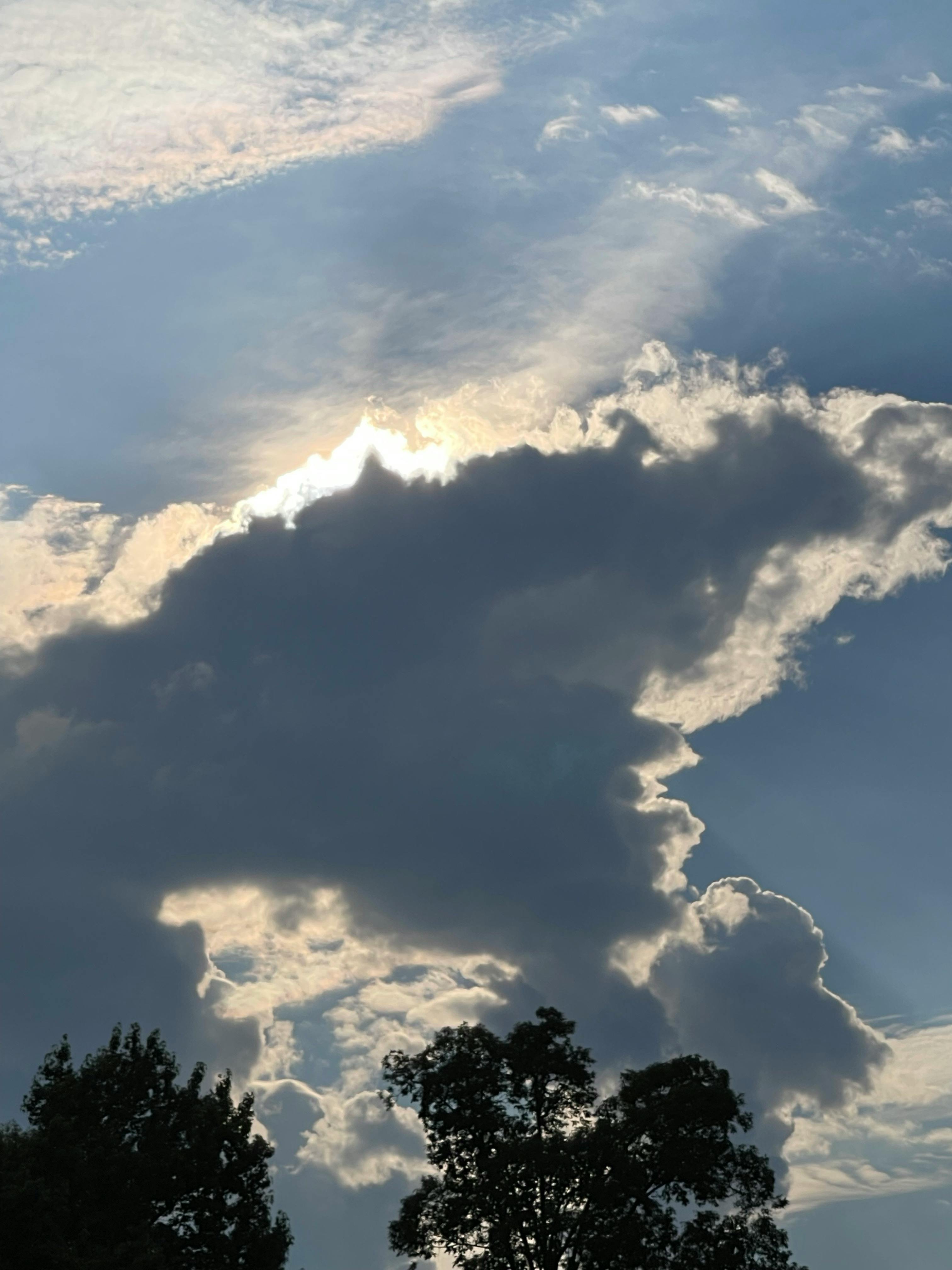 Day 1 - Arrive San José (easy landing day)