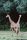 giraffes