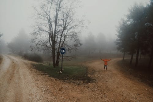 Fog over Dirt Roads and Forest