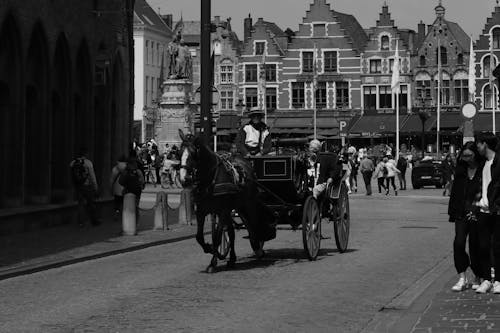A Horse Carriage in a City