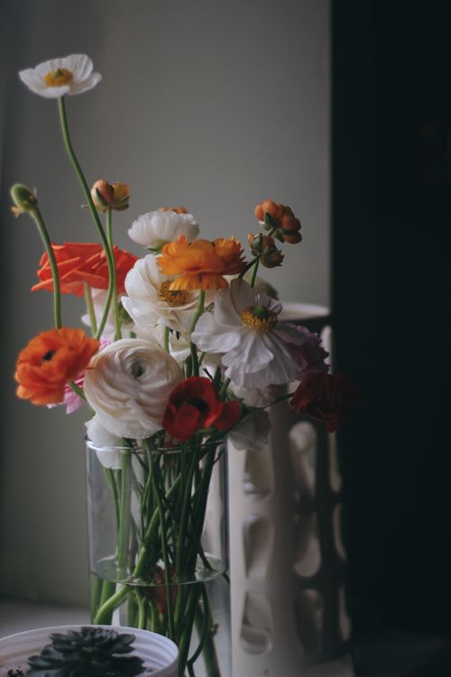 Free Beautiful bouquet of mixed flowers in a glass vase with soft lighting, perfect for decor inspiration. Stock Photo