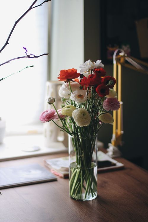 Free A stylish arrangement of poppies in a glass vase on a desk by a window, perfect for home decor. Stock Photo