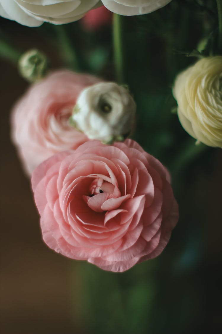 A Pink Rose In A Bouquet