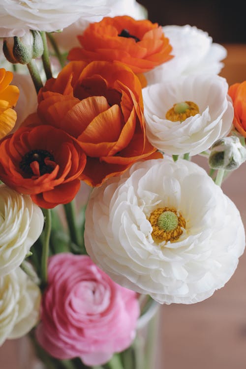 A Bouquet of Poppy Flowers
