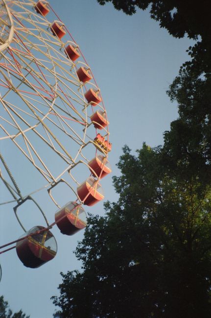 A vibrant ferris wheel set against a clear summer sky, surrounded by trees.