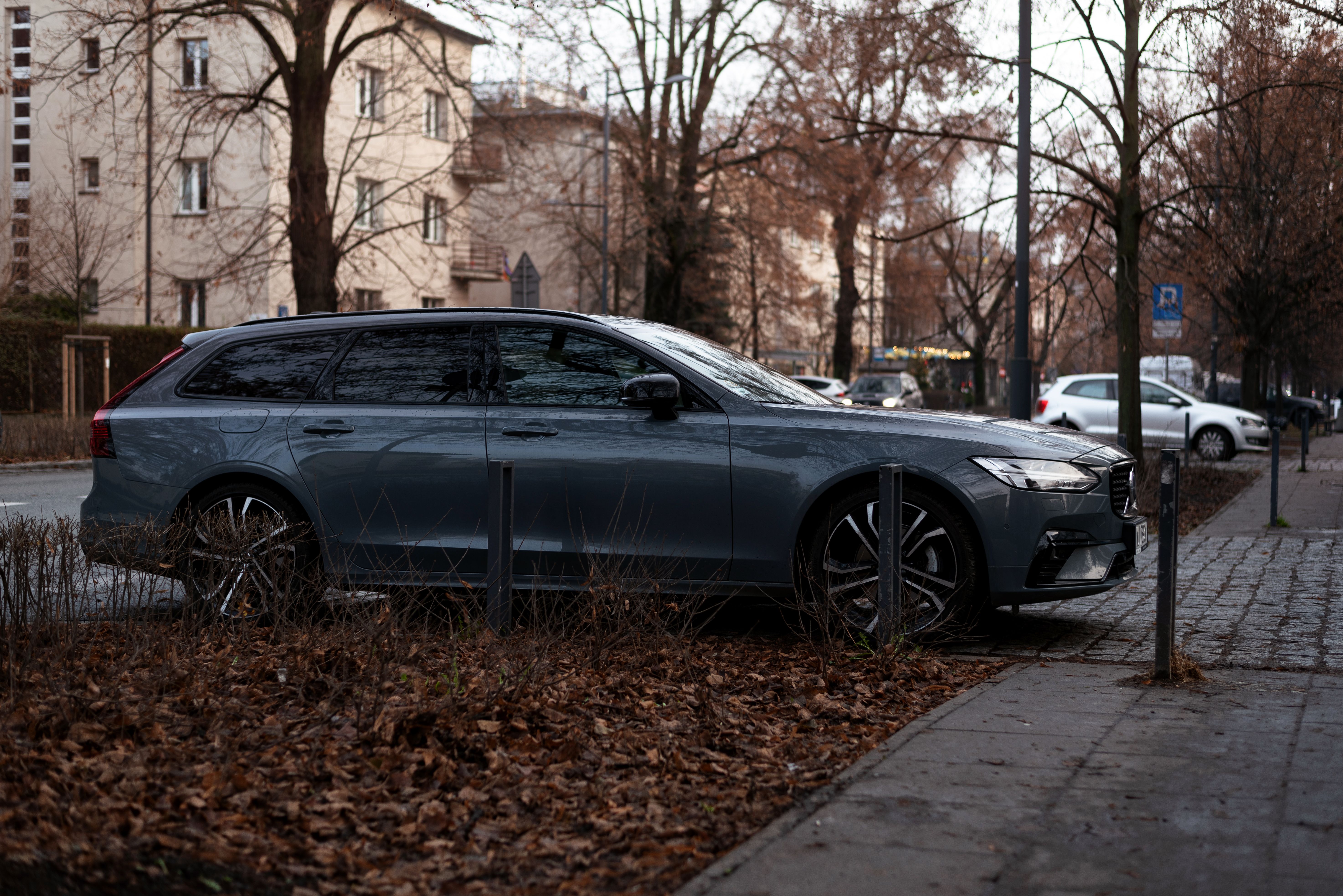 A sleek car parked along a quiet urban street lined with autumn leaves.