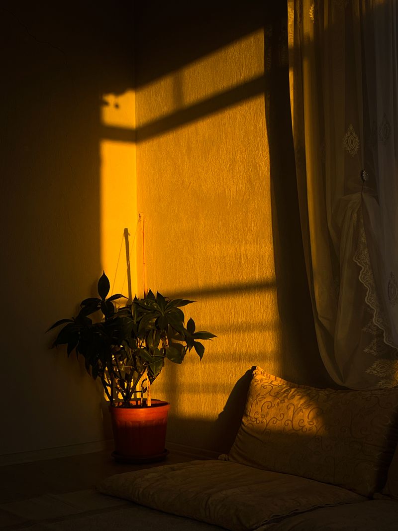 Warm amber glow at dusk — photo by Abdullah Begtas on Pexels