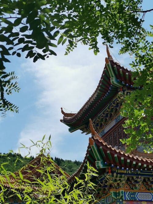 Architectural Details of a Buddhist Temple Roof