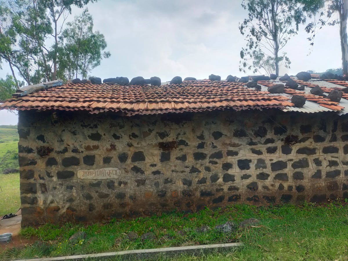 Illustration of brain networks and neurons highlighting brain activity