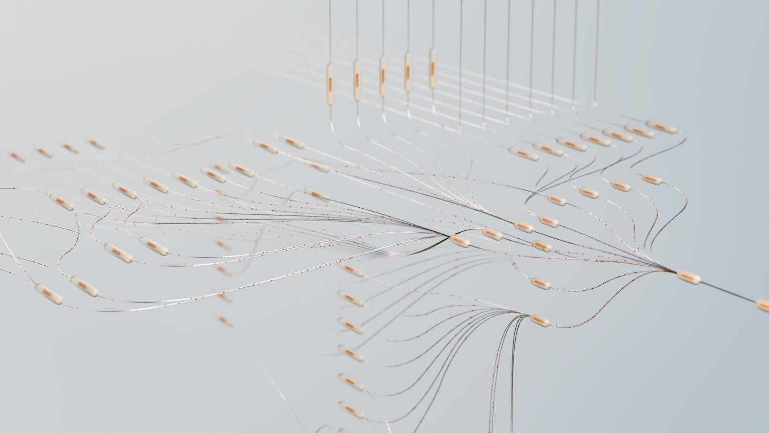 Audience demographics