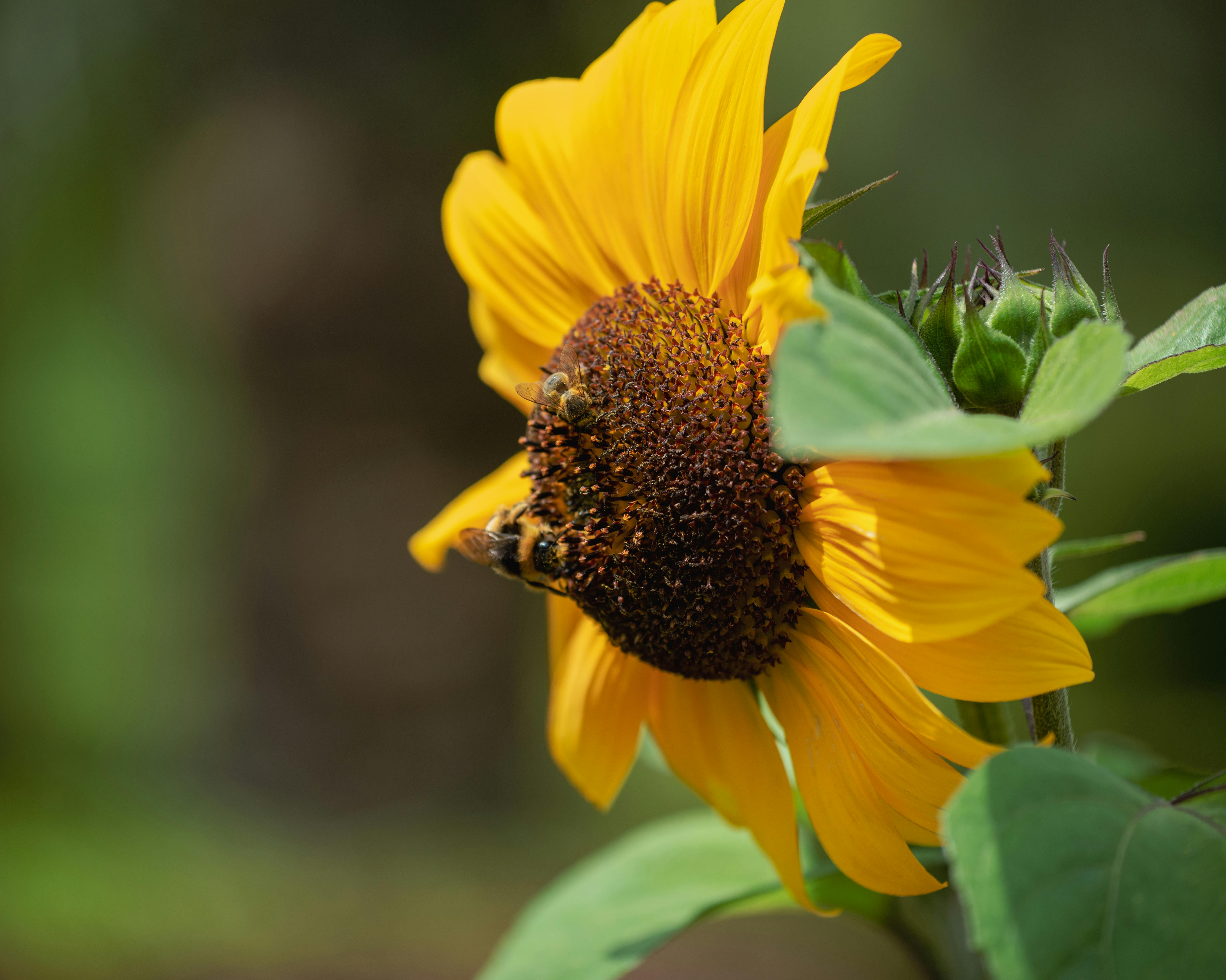 AI video editing before and after