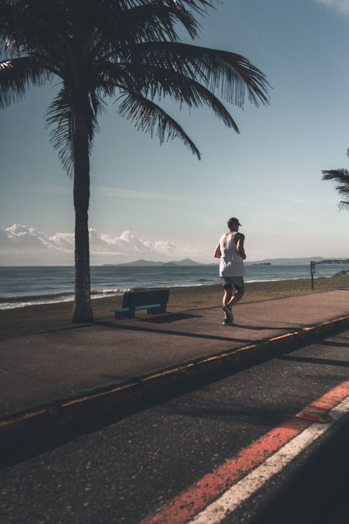 Free A man runs along a palm-lined seaside path, capturing the essence of morning fitness by the beach. Stock Photo