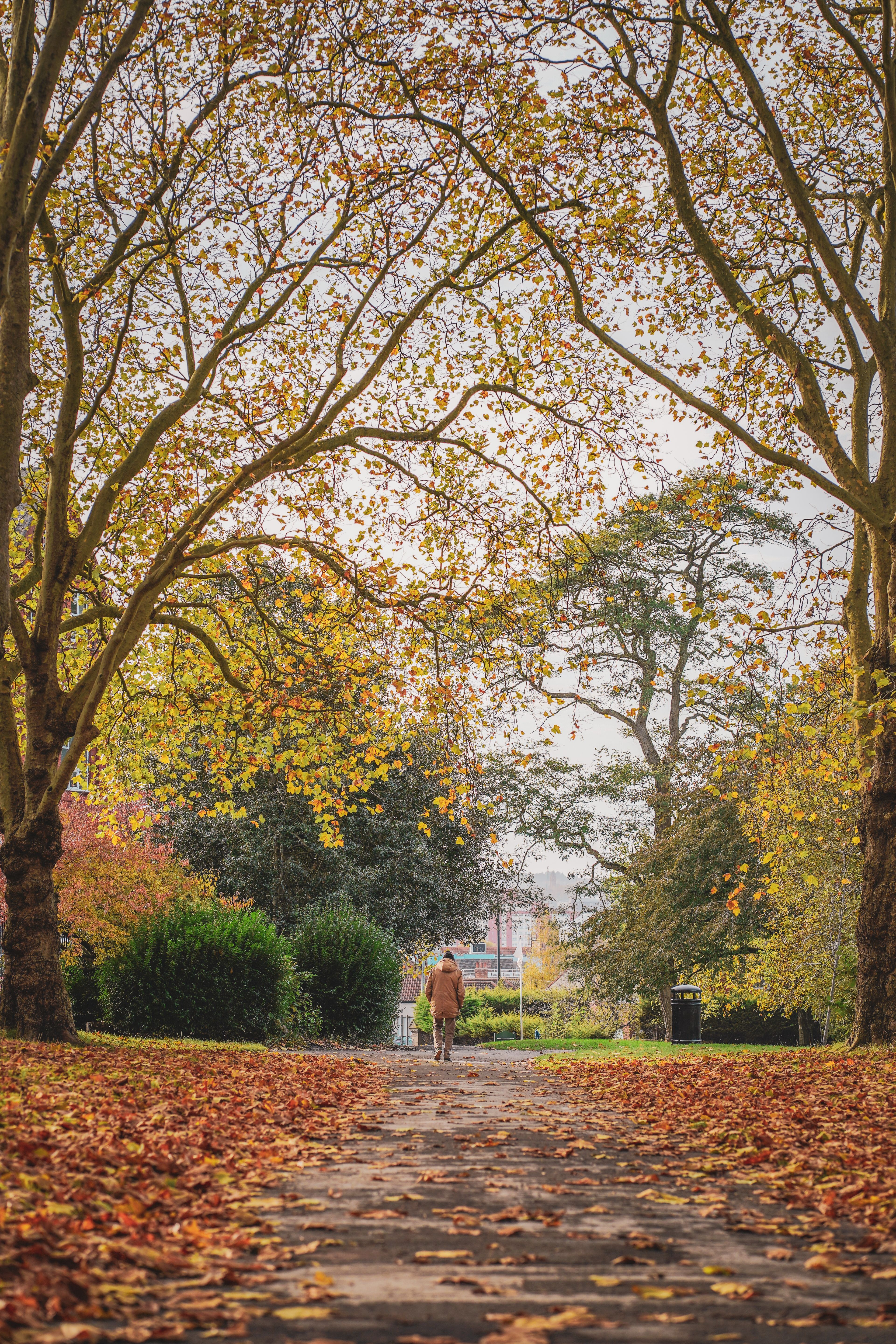 Young Woman Walking in Park in Autumn · Free Stock Photo