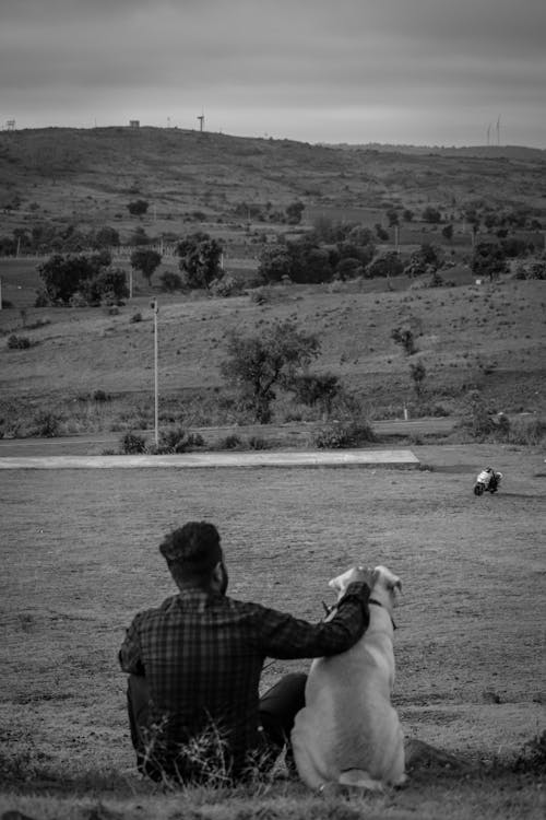 개, 남자, 농촌의의 무료 스톡 사진