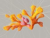 An artist’s illustration of artificial intelligence (AI). This image represents how technology can help humans learn and predict patterns in biology. It was created by Khyati Trehan as par...