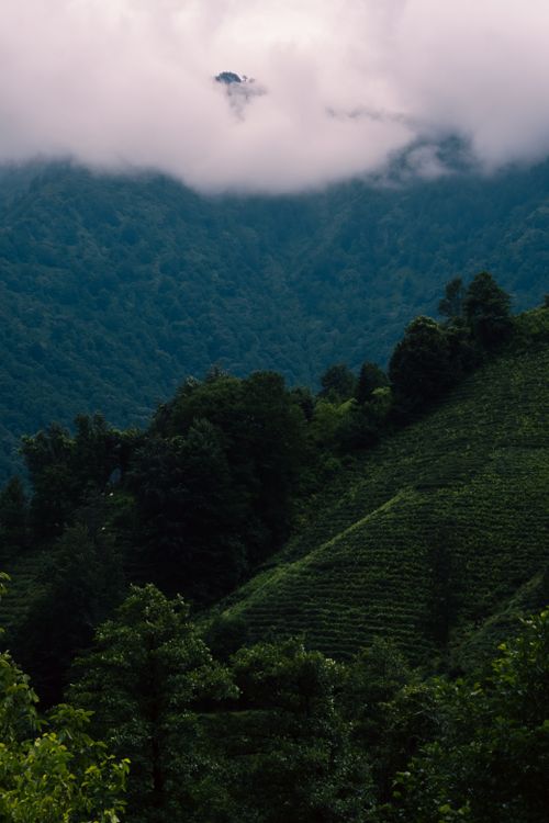 Free Serene mountain landscape with lush greenery and cloud-covered peaks. Stock Photo