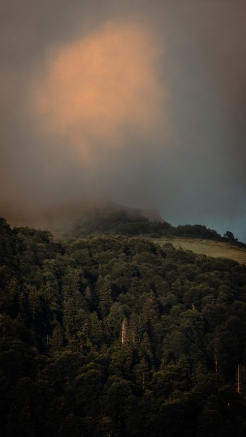 Free A serene view of a mist-covered mountain with lush forest under a colorful sunset. Stock Photo