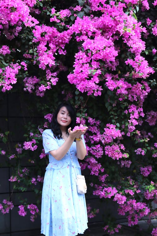 Gratis stockfoto met Aziatische vrouw, bloemen, jurk