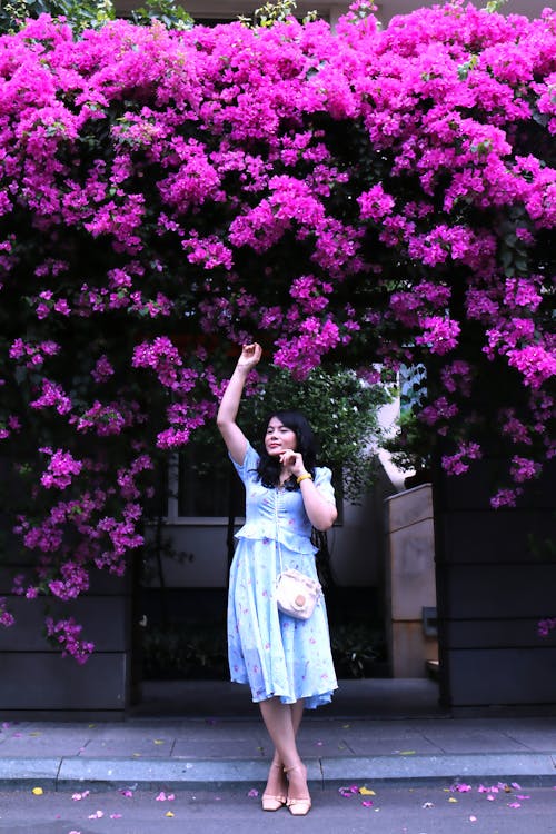 Woman in Dress Standing under Purple Flowers on Street