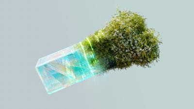 Alphabet vs. The Trade Desk: Is AI-Driven Growth Worth the Hype?