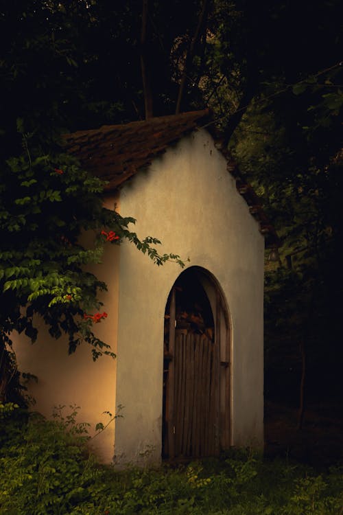 A small white building in the woods with a door