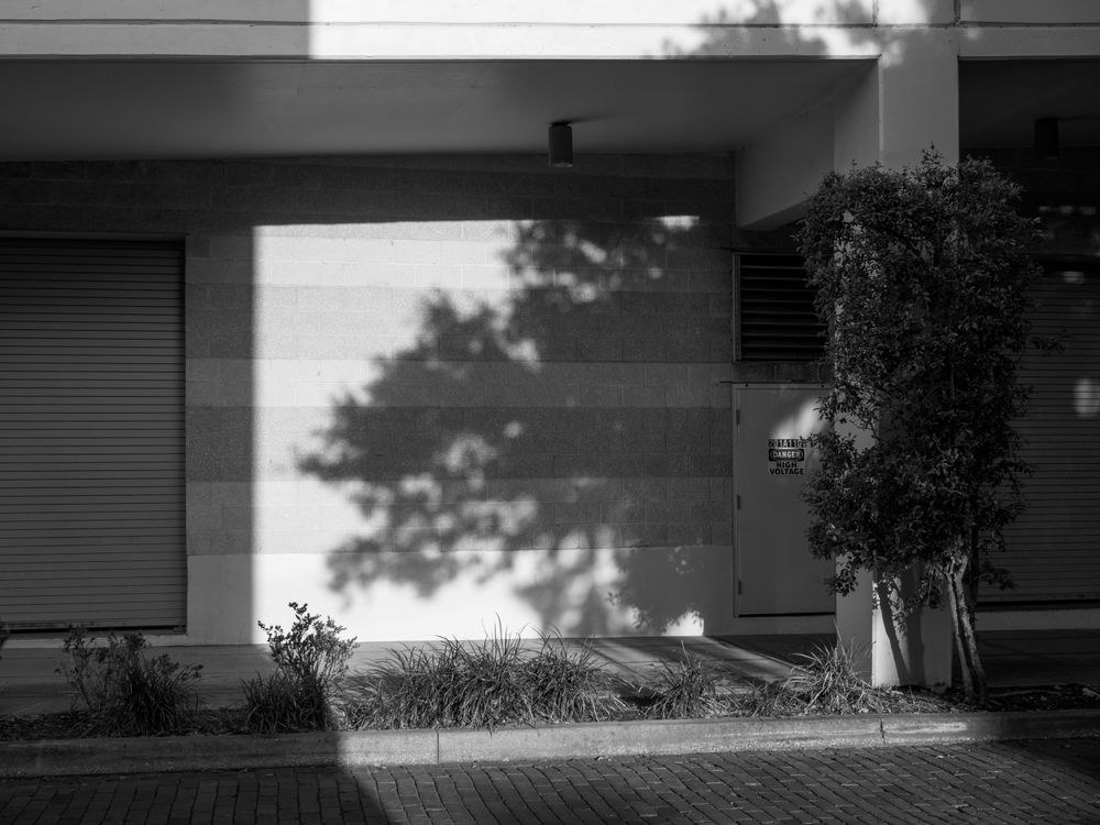 Shadow on Building Wall · Free Stock Photo