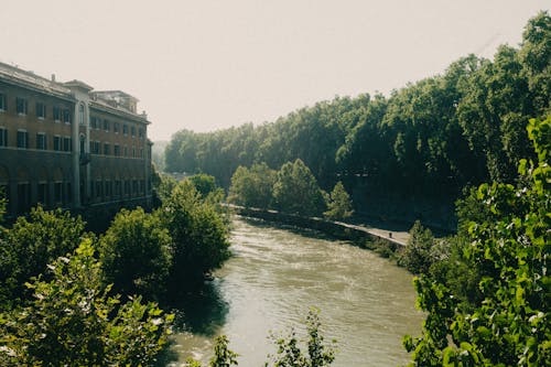 강, 건물, 나무의 무료 스톡 사진
