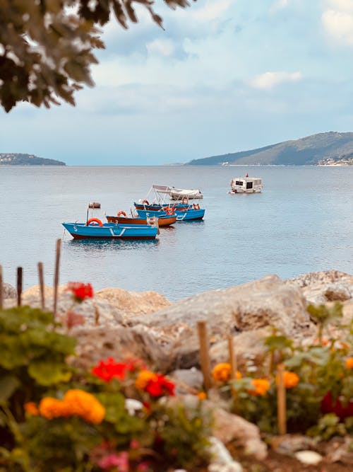 deniz, deniz kıyısı, dikey atış içeren Ücretsiz stok fotoğraf