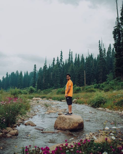 Free A man stands on a rock in a calm forest stream, surrounded by lush greenery. Stock Photo