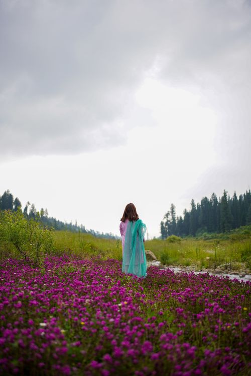 Free A woman in a green shawl stands in a vivid meadow with purple flowers under a cloudy sky. Stock Photo