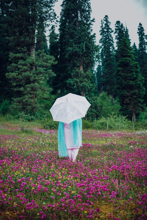 Fotobanka s bezplatnými fotkami na tému dáždnik, dedinský, kvety