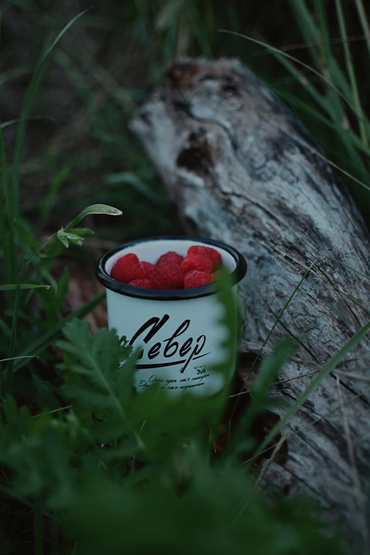 Raspberries In A White Metal Enamel Mug Standing In The Forest Grass