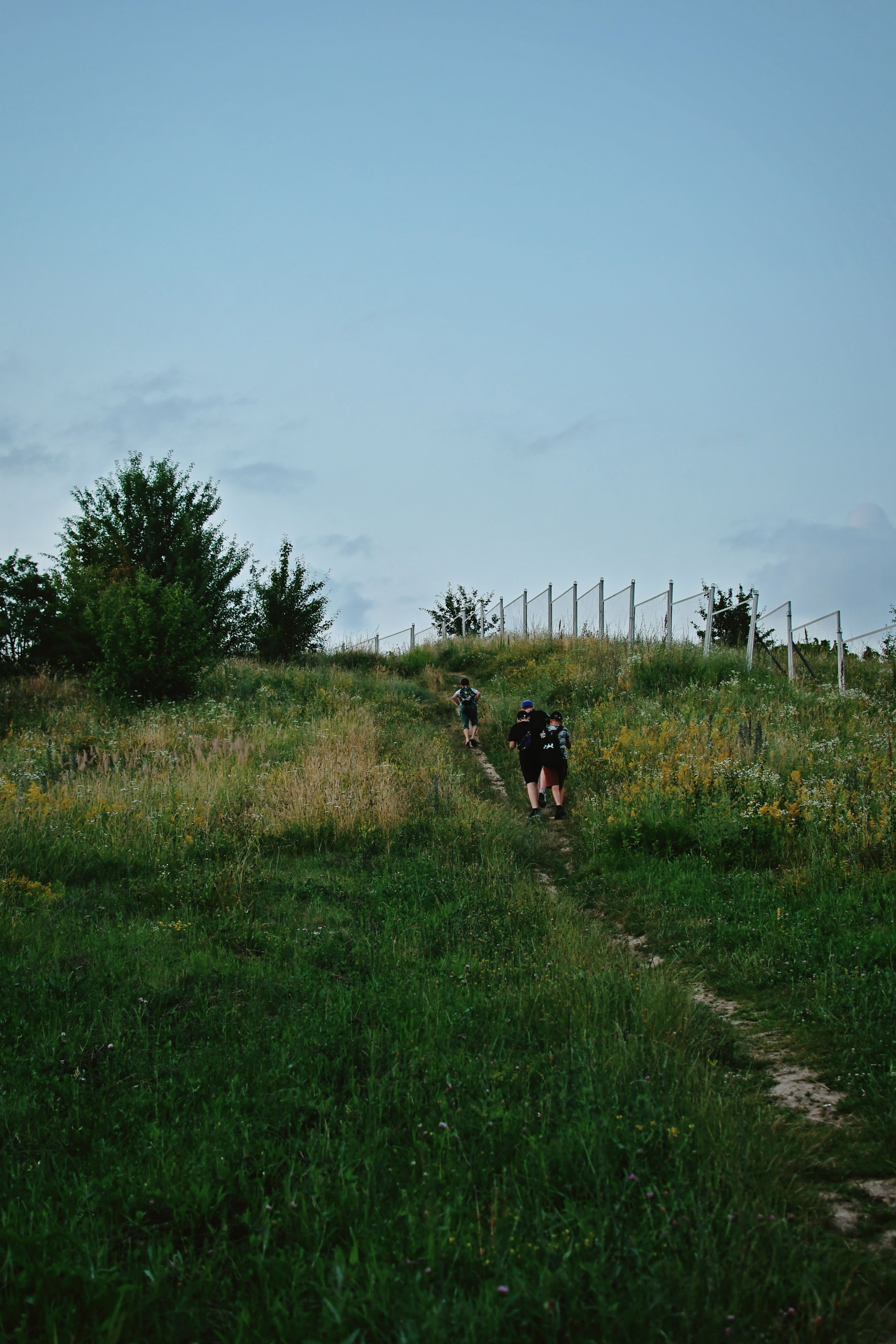 Grass Footpath Photos, Download The BEST Free Grass Footpath Stock ...