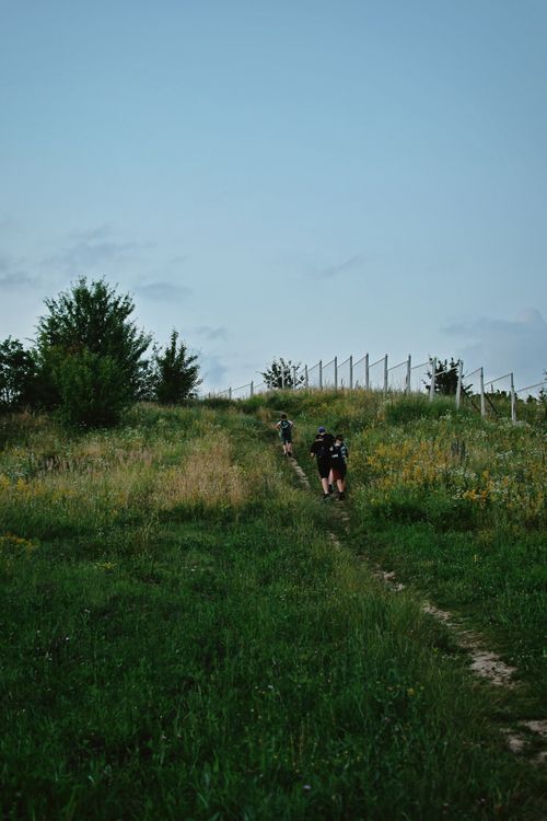 Free People hiking up a scenic hill path surrounded by green grass and wildflowers during dusk. Stock Photo