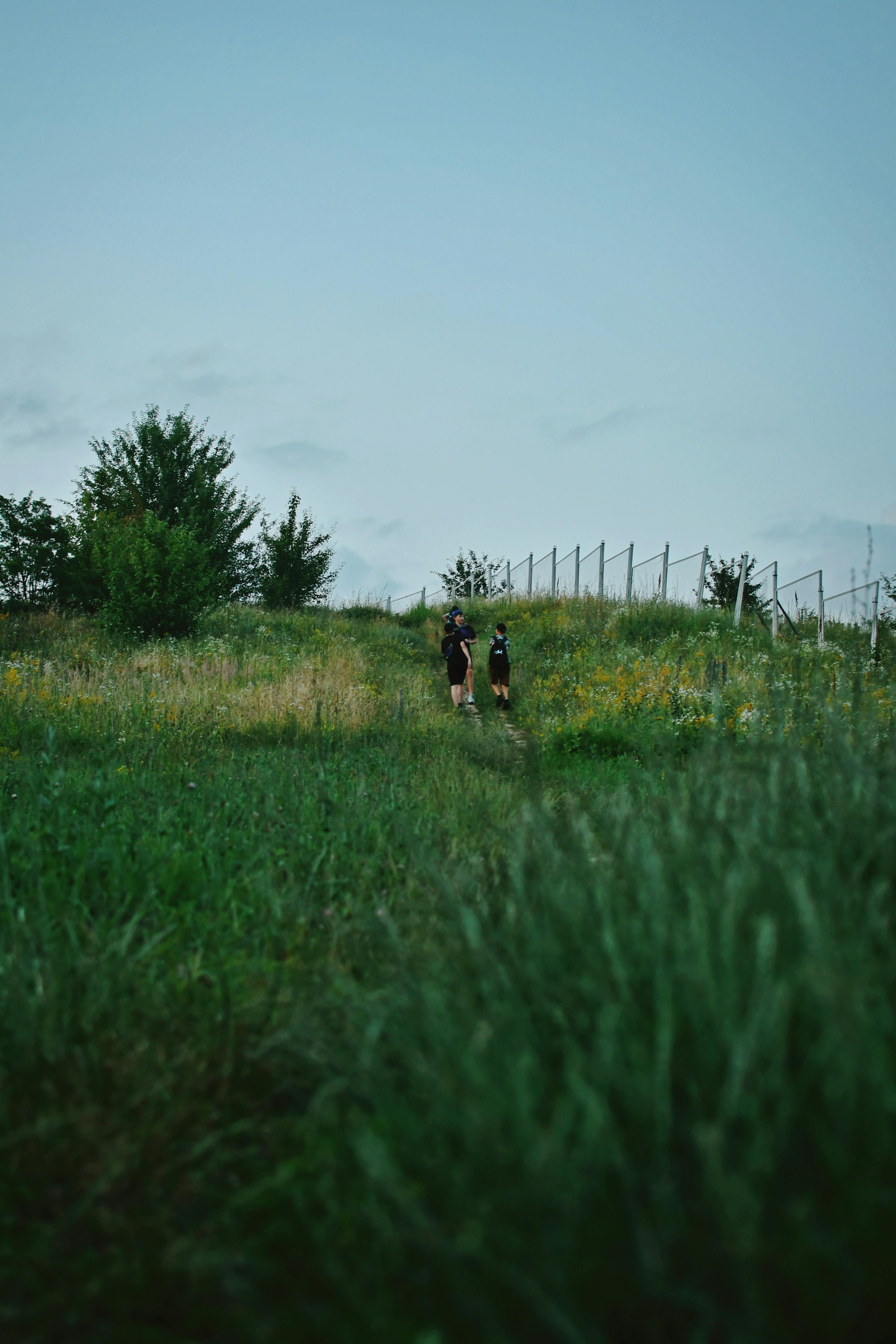 Group of People Standing on a Trail in Grassland