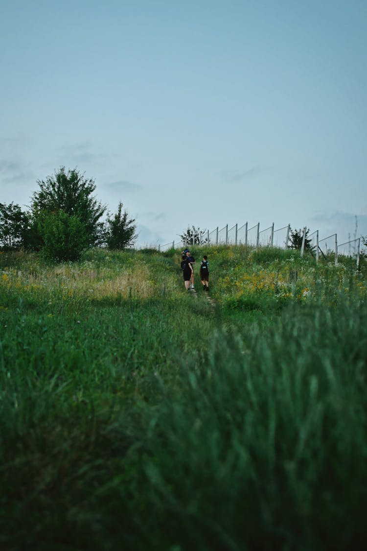 Group Of People Standing On A Trail In Grassland