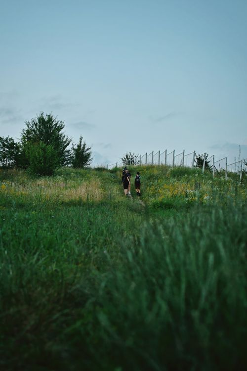 Free Two people hiking in a picturesque grassy meadow with wildflowers and a distant fence line. Stock Photo