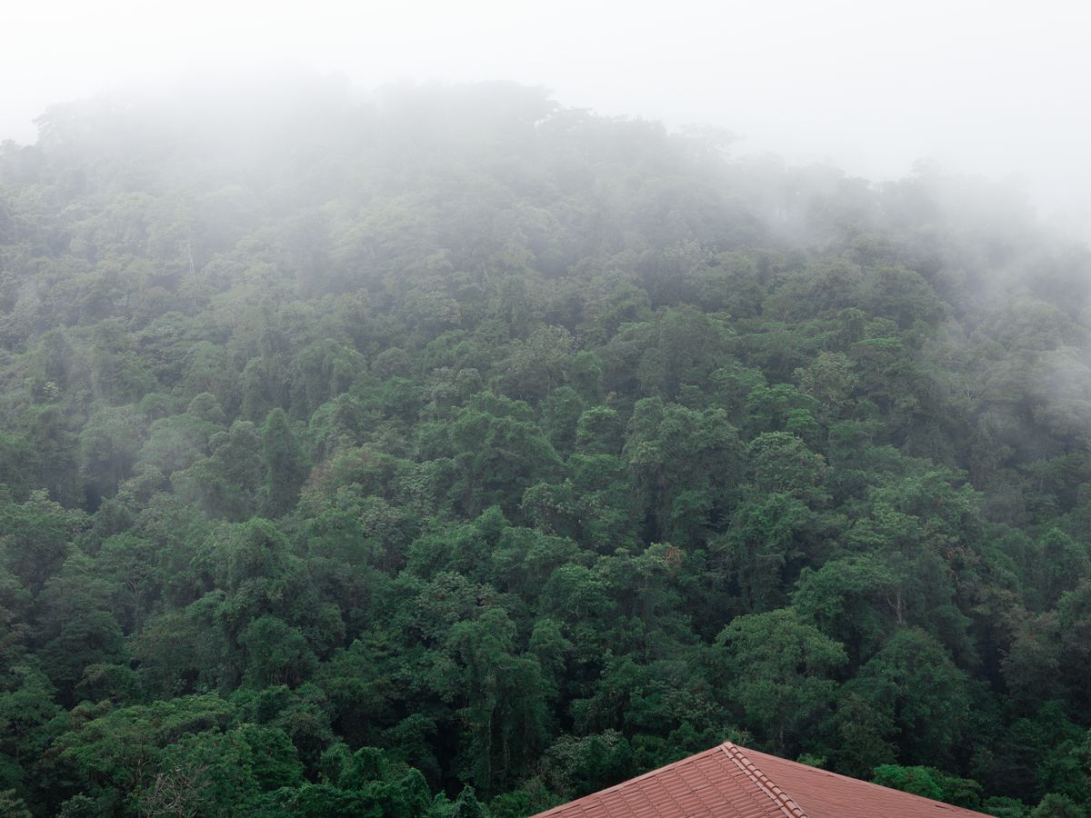 7 Day Relax and Breathe Yoga Holiday in Lake Arenal, Costa Rica 3