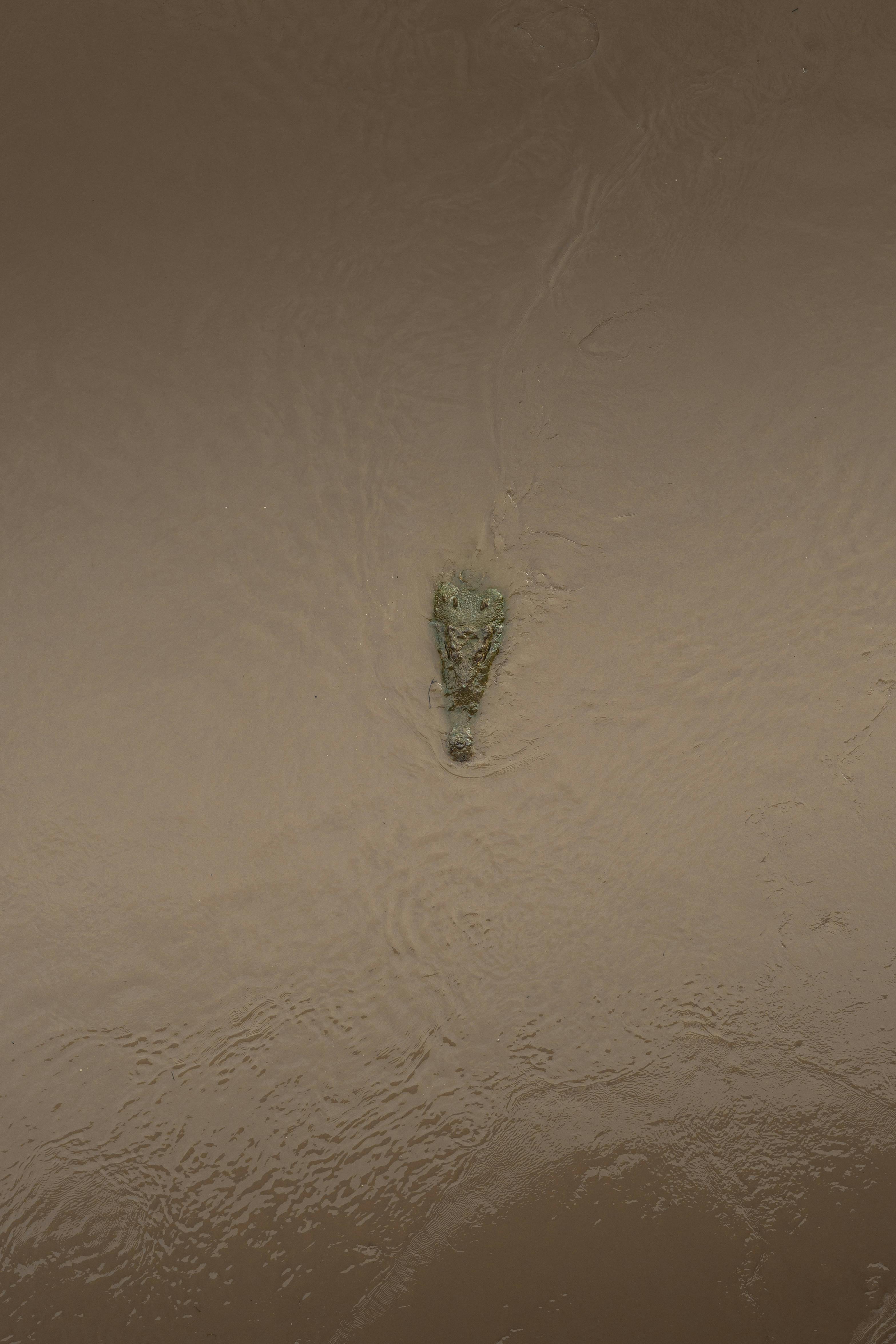 Zadarmo Fotobanka s bezplatnými fotkami na tému biodiverzita, biológia, breh rieky Fotka z fotobanky