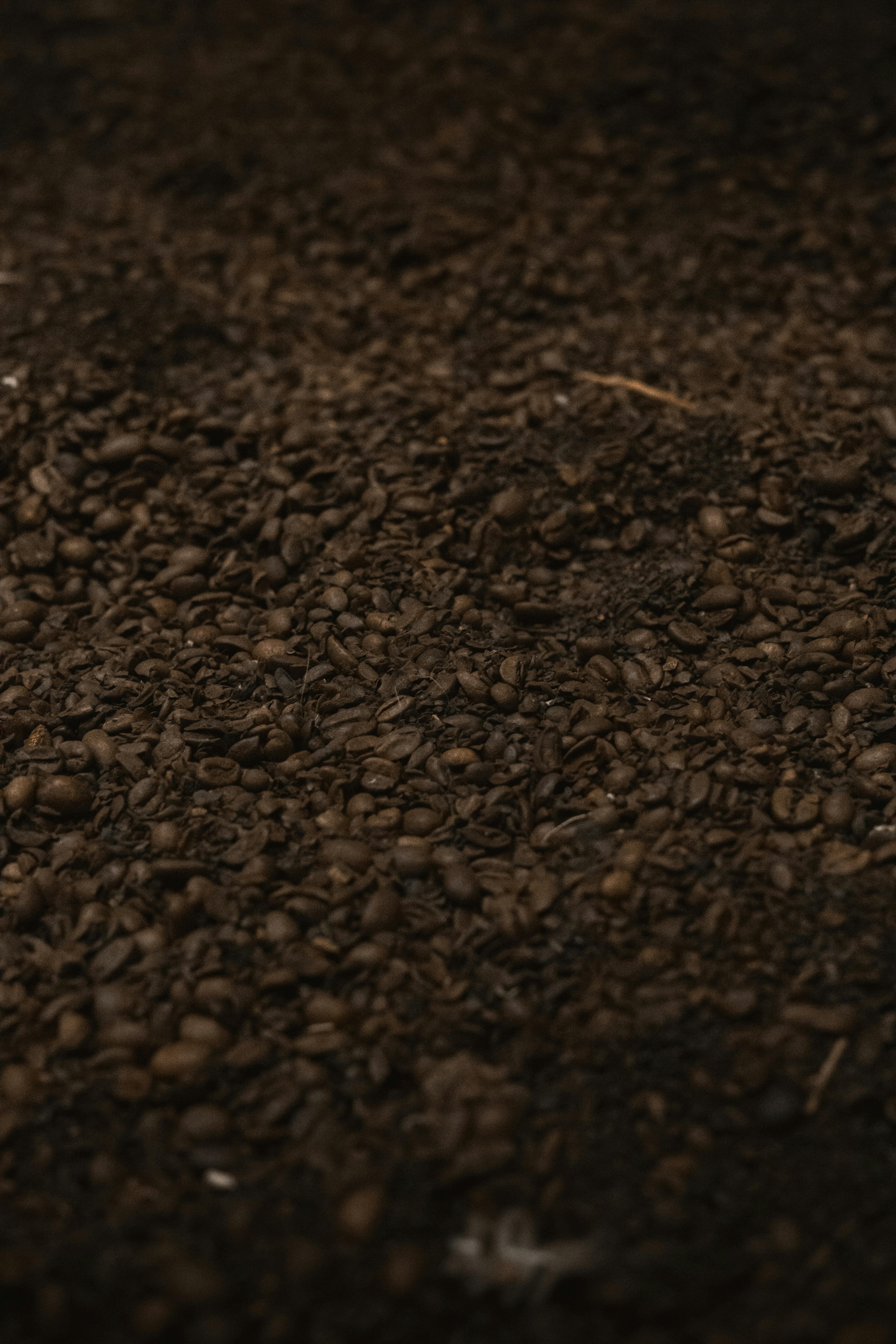 Free Detailed texture of roasted coffee beans creating a rich, earthy aesthetic. Stock Photo