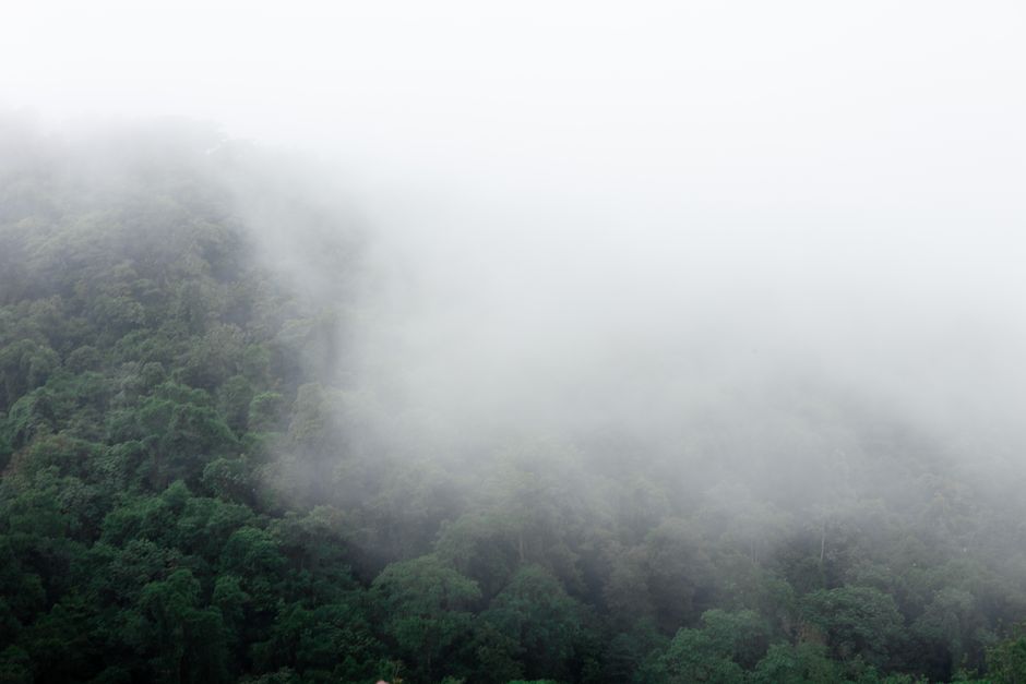 Palo Verde National Park, Costa Rica - travel photo