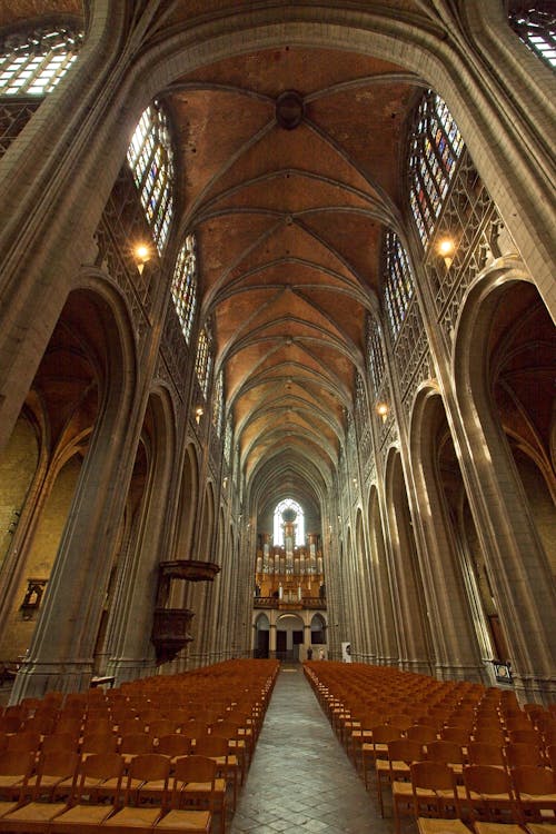 Low Angle Shot of a Gothic Church Interior
