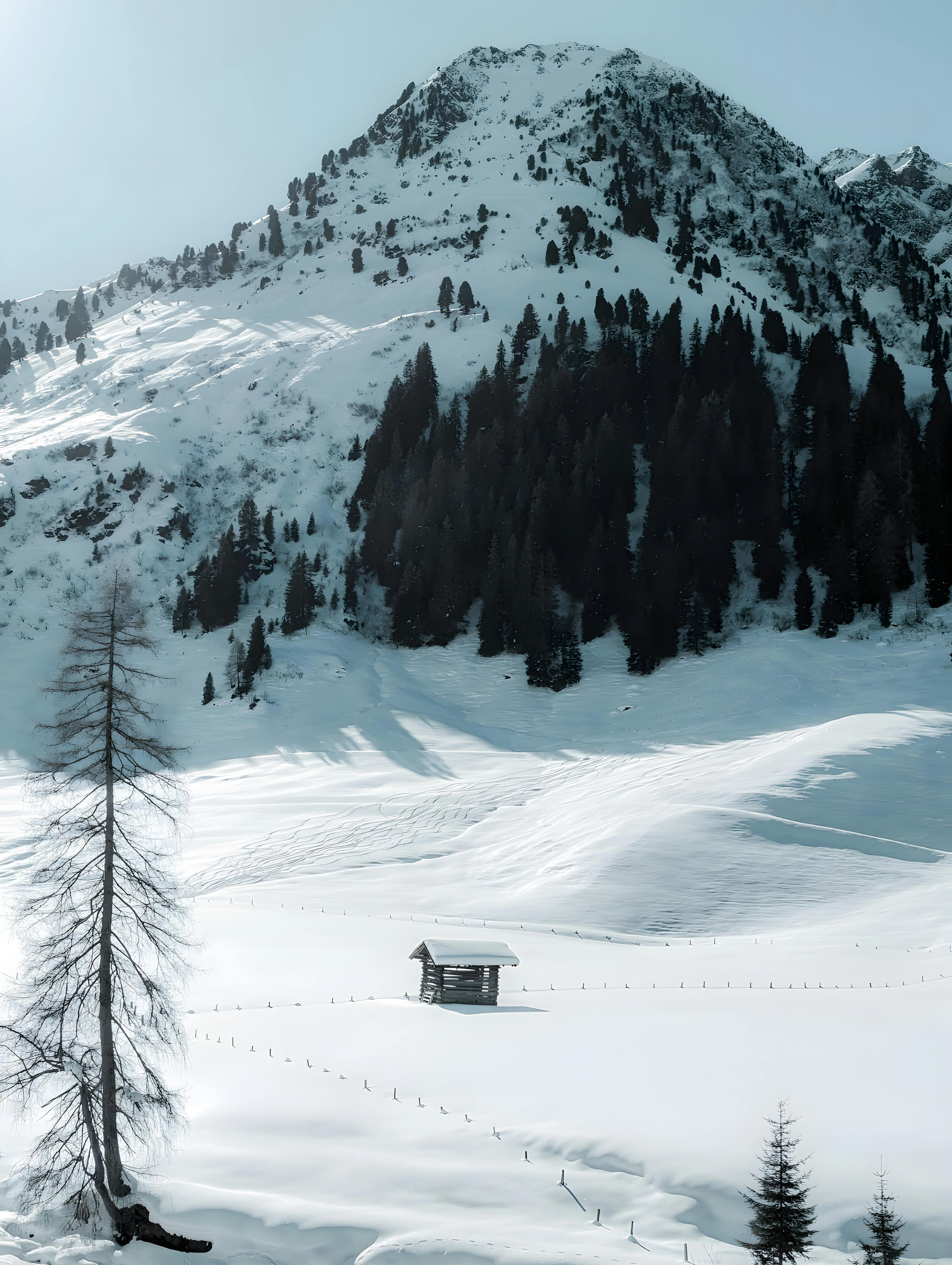 Serene snowy mountain landscape with a lone shed and pine trees under a clear winter sky.