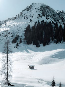 Serene snowy mountain landscape with a lone shed and pine trees under a clear winter sky.