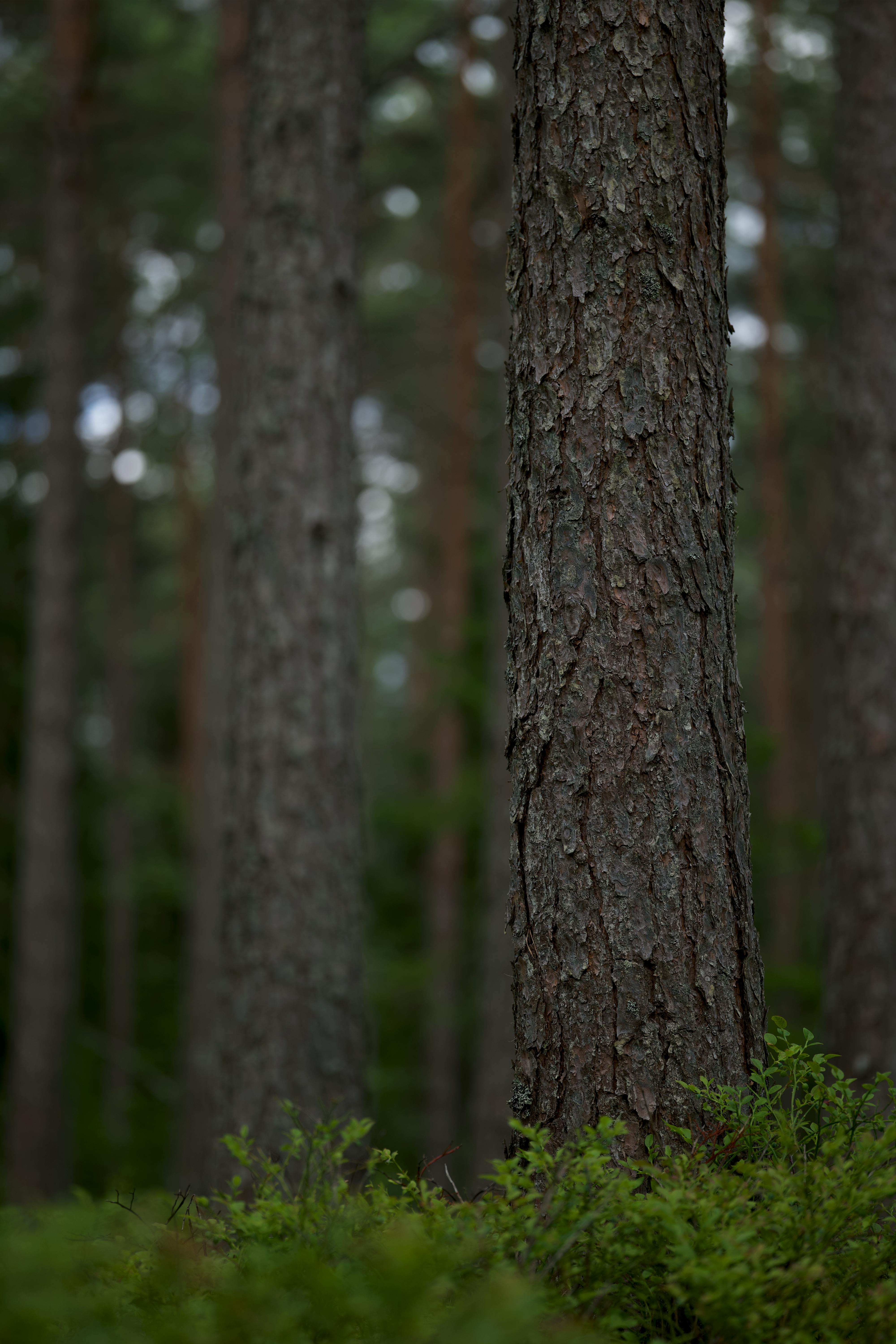 Deep Blackcolor Photos, Download The BEST Free Deep Blackcolor Stock ...